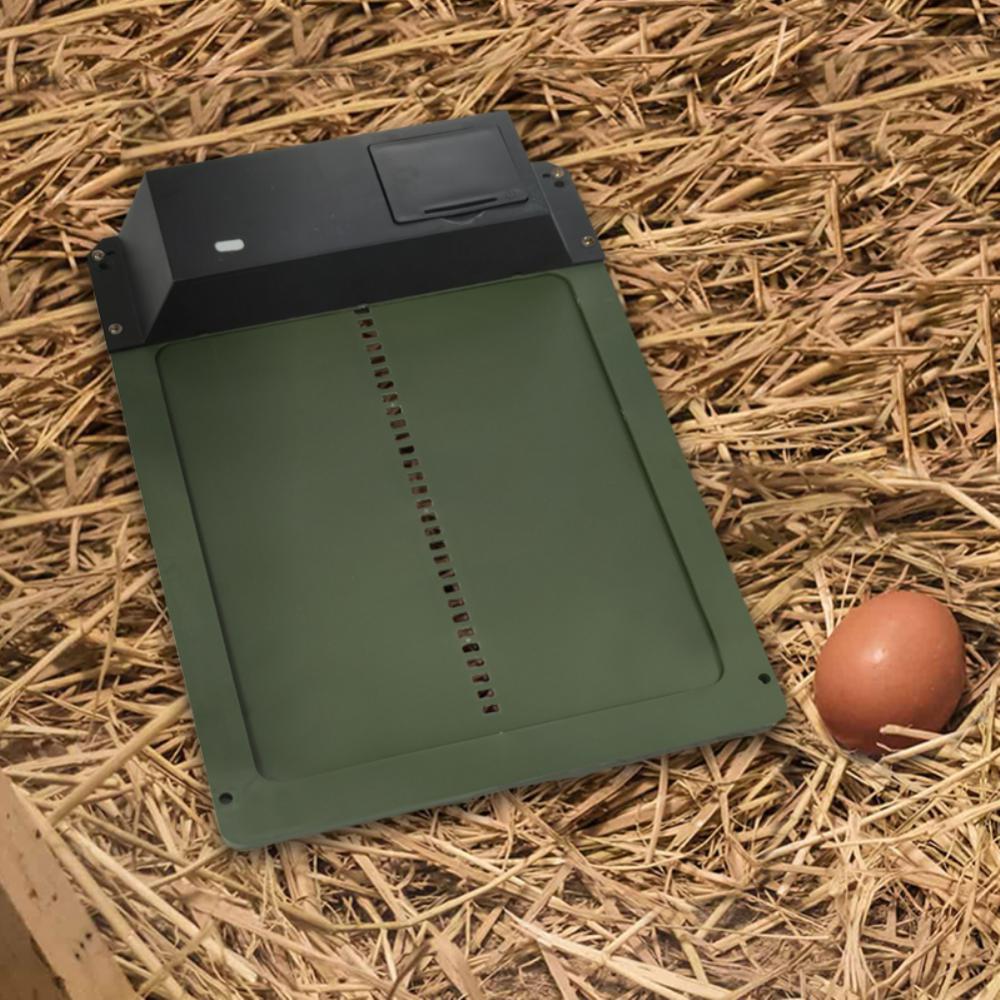 Automatic Chicken Coop Door Light Sensor Chicken House Door